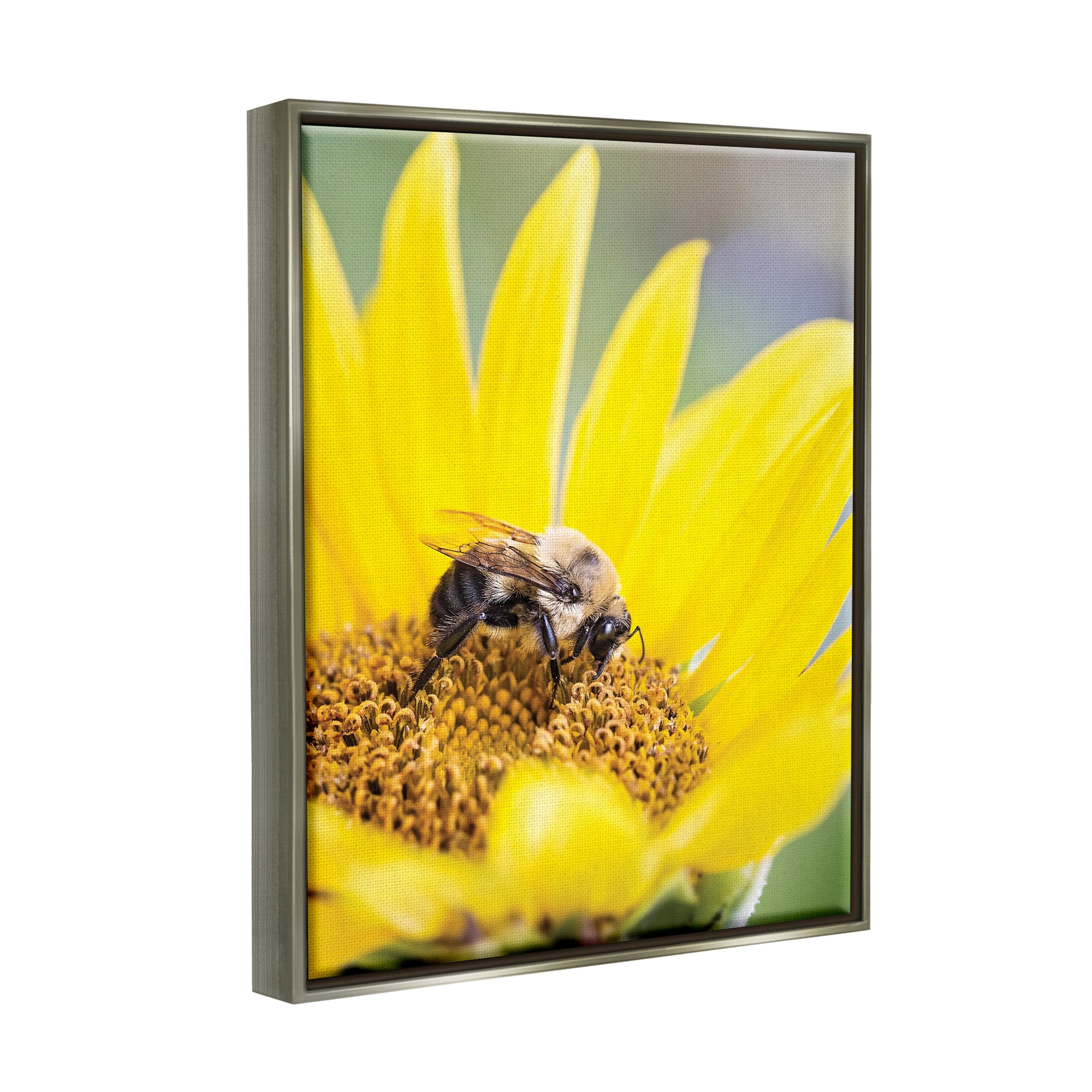 Stupell Industries Bee & Sunflower Photography Animals & Insects Photography Gray Floater Framed Art Print Wall Art, 17 x 21