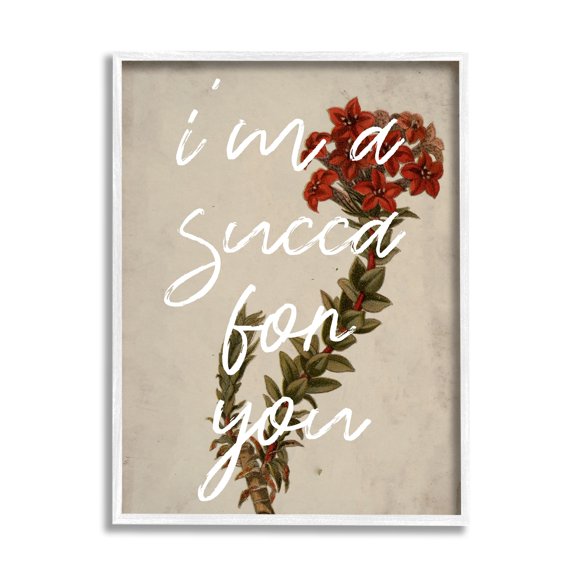Stupell Industries Succa For You Romantic Witty Plant Humor Phrase Framed Wall Art, 11 x 14, Design by Lil' Rue