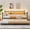 Black, variant on EastVita Twin Daybed with Trundle- Metal Bed with Charging Station and LED Lights- Sturdy Mattress Foundation for Living Room- Guest Room- Small Spaces- Easy Assembly- Gold