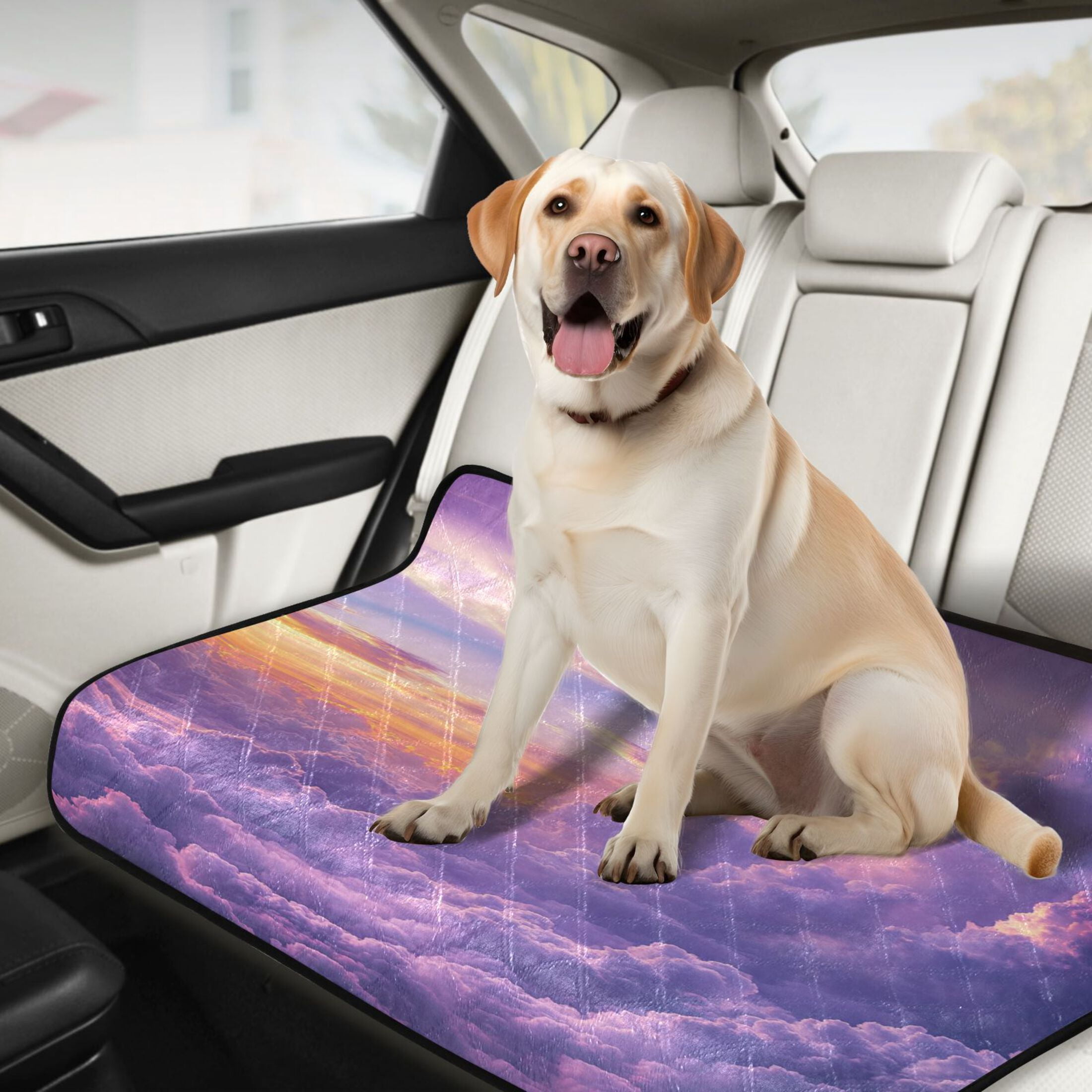 Washable Pet Pee Pads with Super Absorbent Reusable Training Pads for Dogs & Cats Fluffy Clouds