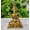 Gold2, variant on Wonder Care | Ganesha Statue Sculpted in Great Detail in Ivory Antique Finish - Ganesh Idol for Car | Home Decor | Mandir | Gift | Hindu God Idol (Chair Ganesh)