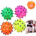 thumbnail image 1 of Hweilai Jouet de Boule de Chien d'Entraînement Interactif Grinçant Rond, 1 of 7
