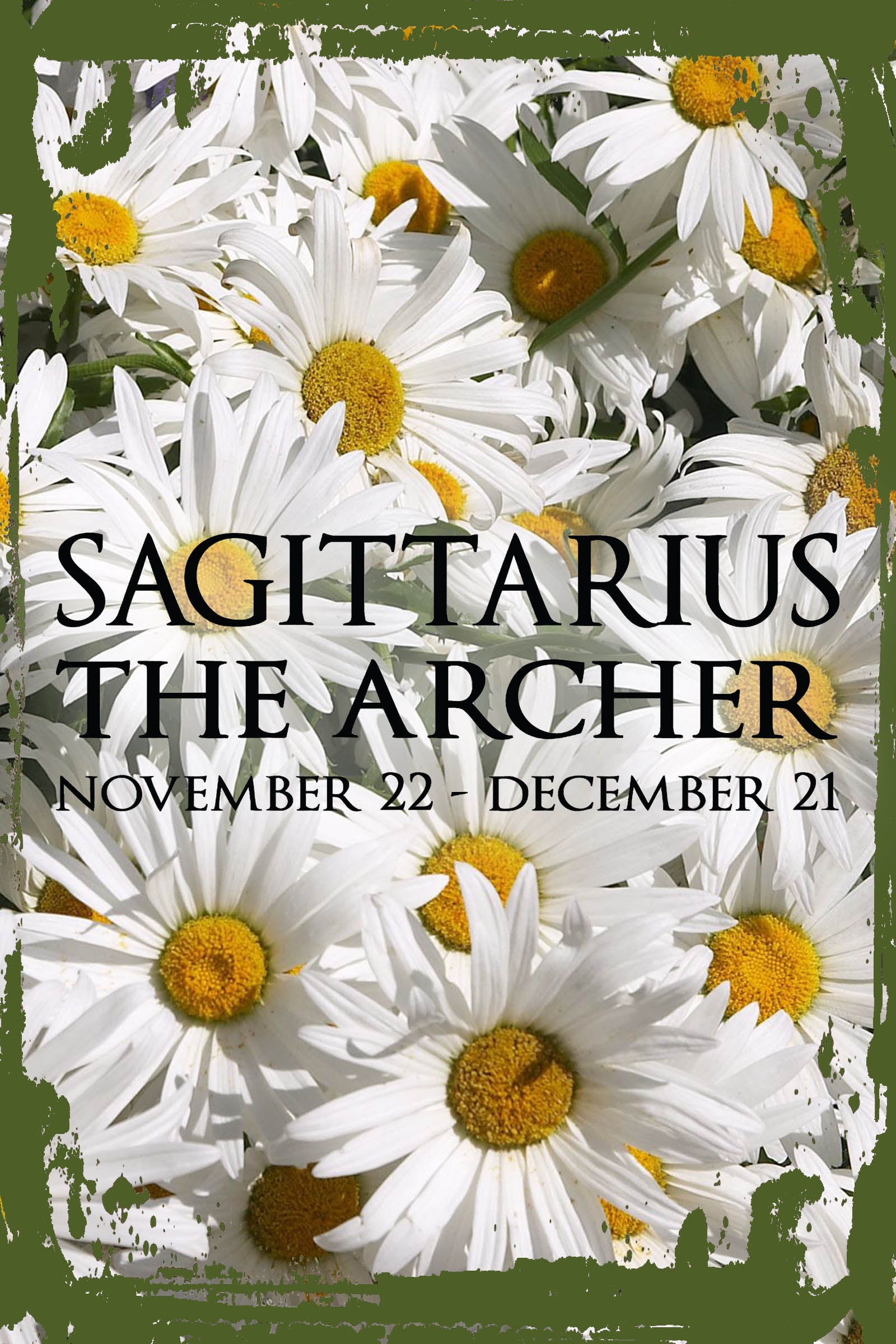 Daisy Flower Wall Art Sagittarius the archer Nov 22Dec 21 caps zodiac sign astrology Tin Wall