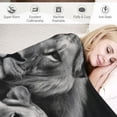 thumbnail image 3 of COMIO  Lions and Lioness Throw Blanket Gifts for Adult Women Men Teens, 3D African Wildlife Animal Blankets Soft Fluffy Throw Decorative for Sofa Bed Office Couch, 3 of 6