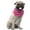 Hot Pink, variant on 6 Paisley Polyester Dog & Cats Bandana Triangle Bibs  - Washable & One Size (White)