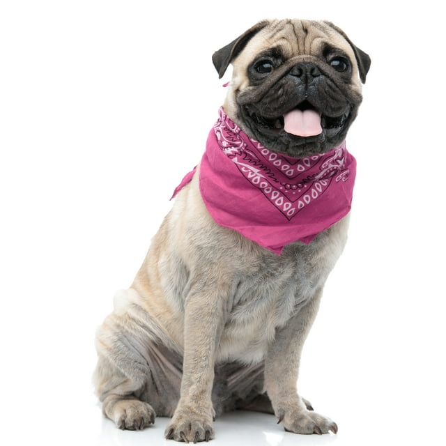 Paisley Polyester Ensemble de 3 Bavoirs Bandana Triangle pour Chiens et Chats - Taille Régulière