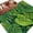 Black, variant on Tropical Palm Leaves Area Rugs 5'x8', Washable Small Throw Rugs for Classroom Bedroom, Summer Green Botanical Leaf Indoor Outdoor Rug Non-Slip Low Pile Carpet Runner Reversible Floor Mats