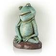 thumbnail image 6 of Alpine Corporation Pensative Sleeping Frog Statue, 15 Inch Tall, 6 of 12