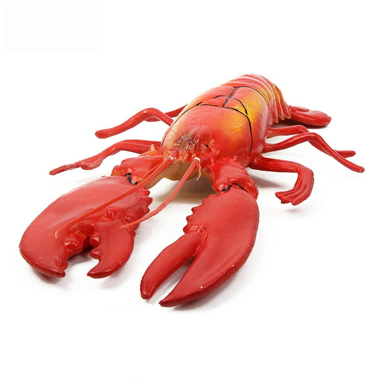 Lifelike Lobster 20 x 8 inch Super Large Plastic Lobster Model for Home Decor Market Display Photography Prop Kids Pretend Play, Kids unisex