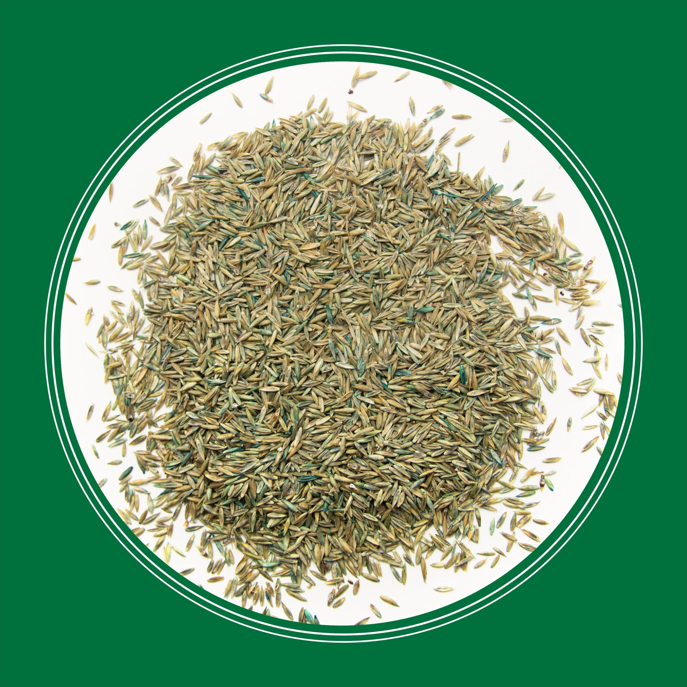 Pennington Smart Seed Pro Grass Seed Tri-Fescue Grass Blend, 5 lb., 1 Pack, New