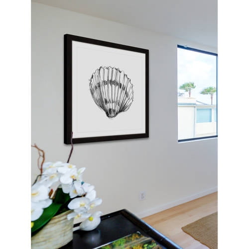 Marmont Hill "Shell Sketch VI" Framed Painting Print