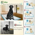 Tolobeve Dog Training Pads, XXL, 30 in x 36 in, 60 Count Disposable Dog
