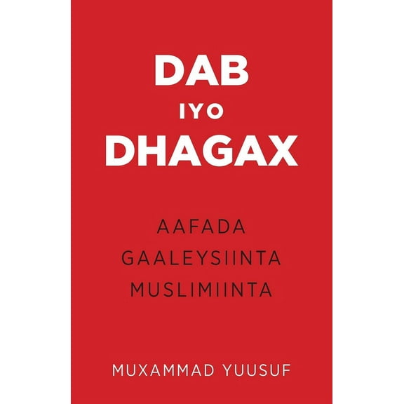 Dab iyo Dhagax, (Paperback)