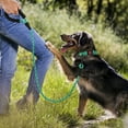 thumbnail image 5 of Taglory Rope Dog Leash with Comfortable Padded Handle, 6ft Reflective Dog Leash, Turq, 5 of 7