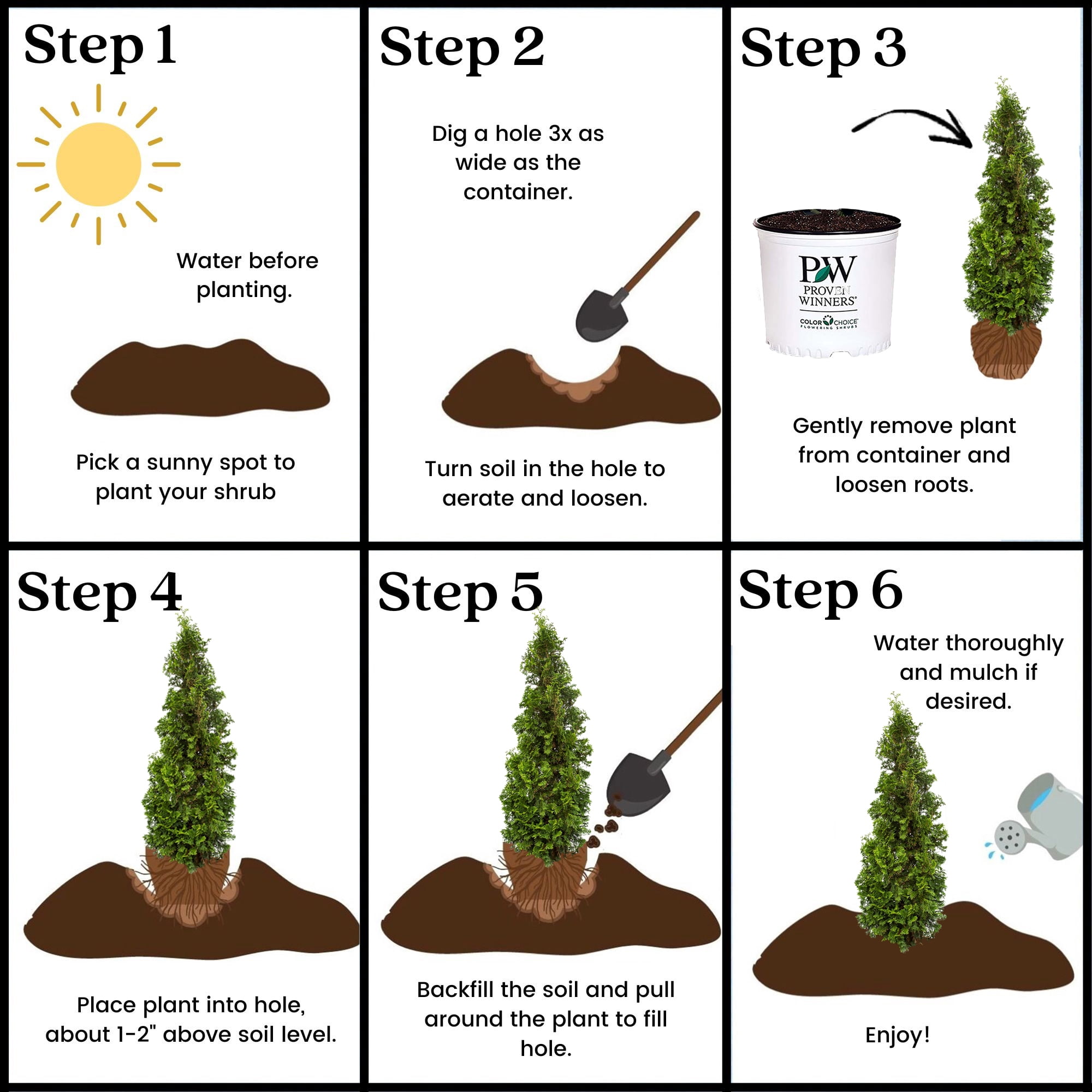 Proven Winners ColorChoice Sting Arborvitae Live Shrub (2 Gallon)