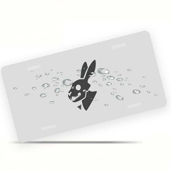 License Plate, Rabbit Skull Symbol Decorative Front,Personalized Stainless Steel License Plate Cover For Men Women,12.2" X 6.2"