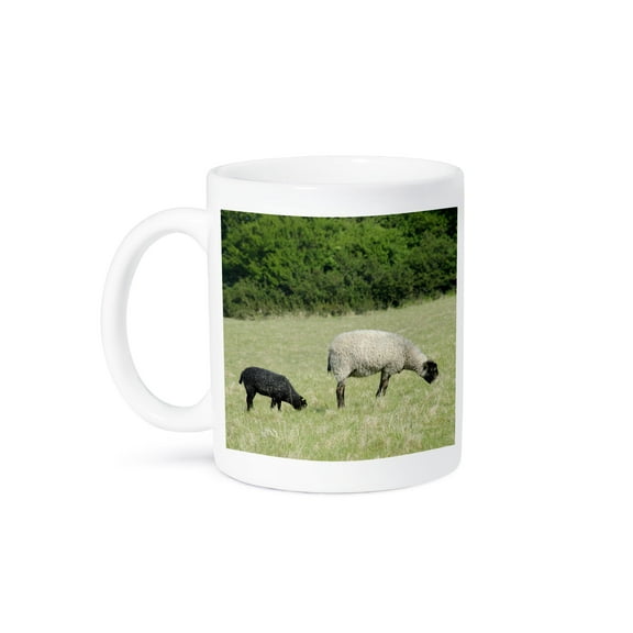 3dRose, Denmark, Bornholm, Sheep, farm animal - EU07 CMI0091 - Cindy Miller Hopkins, 15oz Mug