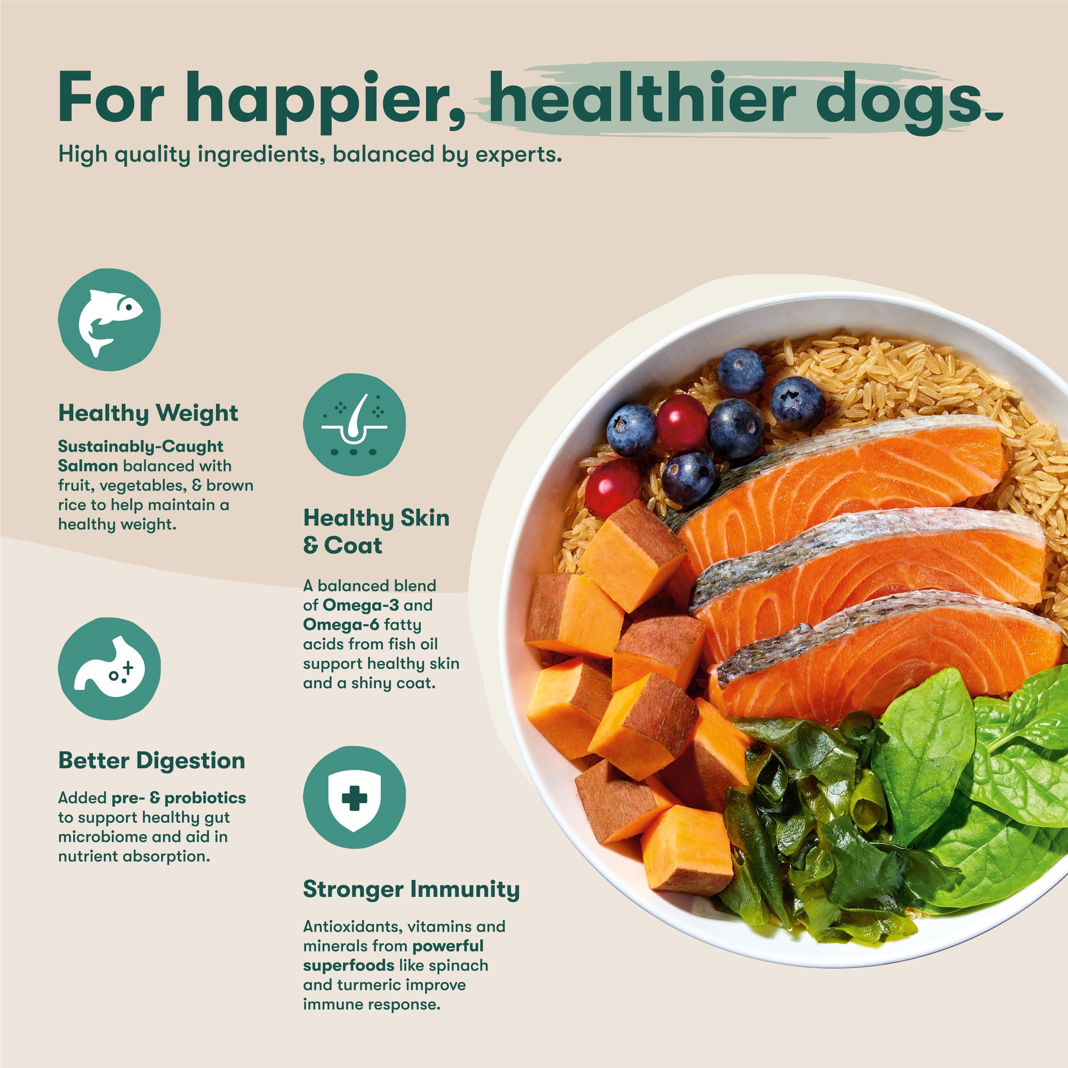 Jinx Salmon, Brown Rice, & Sweet Potato Dry Dog Food, 23.5 lbs Bag