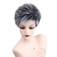 thumbnail image 1 of Pelucas negras cortas en capas con corte de duendecillo sintético Peluca de disfraz gris recta mullida Colcomx Pelucas Naturales De Cabello Completo, 1 of 8