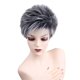 thumbnail image 1 of Peluca corta recta negra gris Salvador Pelucas Naturales De Cabello Completo, 1 of 10
