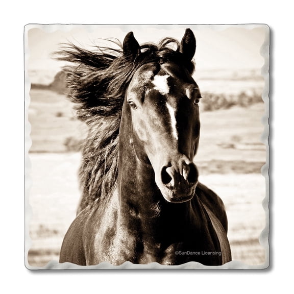Thirstystone Black Beauty Horse 4-Pack Tumbled Tile Coasters