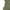Army Green, variant on Yuzhih Women 2 Piece Outfit Fashion 2024 Summer Cap Sleeve Crewneck Top Matching Wide Leg Pant Sweatsuit