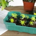 thumbnail image 5 of Home Gardening Seedling Tray Can Be Placed 3cm Or 4cm Diameter Seedling Block Green Plants Practical Tools, 5 of 5
