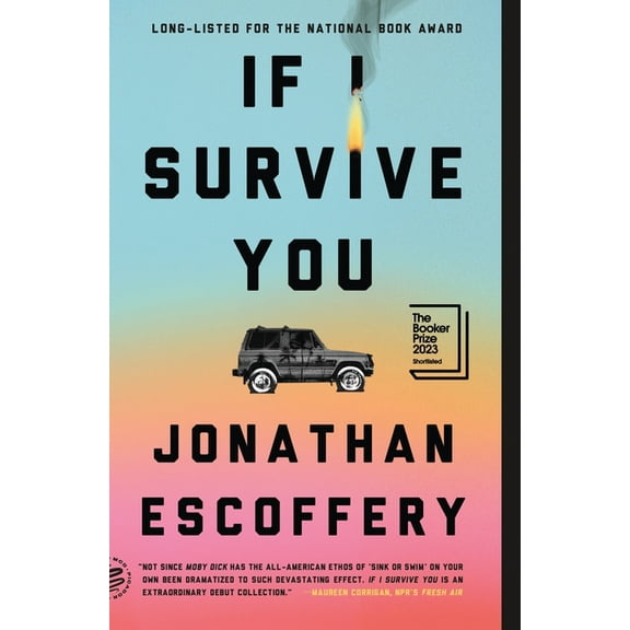 If I Survive You (Paperback)