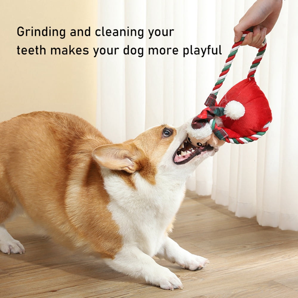 Are Aggressive Chewers