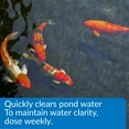 thumbnail image 5 of API Pond Accu-Clear, Pond Water Clarifier, 1 Gal, 5 of 8