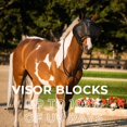 thumbnail image 2 of Visera antimoscas para caballo TUFFTEQ con protección UV y ajuste regulable, 2 of 9