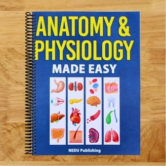 Anatomical Chart Companys Illustrated Pocket Anatomy Anatomy Of The Brain Study Guide - Broché