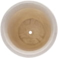 thumbnail image 2 of maceta 12" plástico imperial ivory (193998), 2 of 4