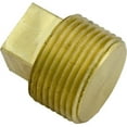 thumbnail image 3 of Brass Plug, Hayward, 3/4" Male Pipe Thread, 3 of 3