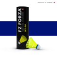 thumbnail image 2 of FZ Forza NS -10 Nylon Badminton Shuttlecock , Innovated In Denmark , Medium Speed | Green , Pack Of 6, 2 of 5