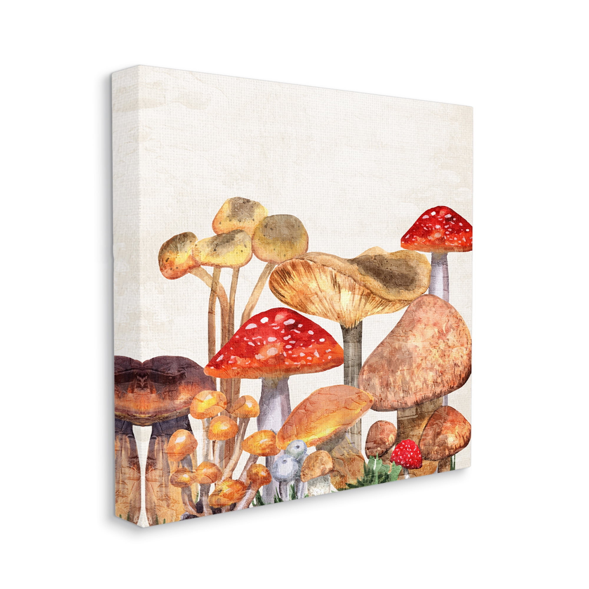 Stupell Industries Rustic Woodland Mushrooms Botanical & Floral Painting Gallery Wrapped Canvas Print Wall Art, 36 x 36