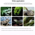 Curated visual reference: Hibibud 2026 New 1Pcs 50W Reptile Heat Lamp Pet Infrared Photo Inspiration