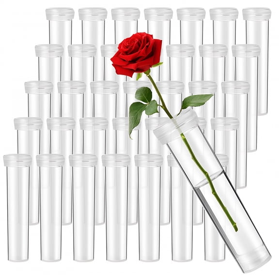 ACDANC 100Pcs Single Flower Water Tubes Clear Floral Picks for Fresh Flower Preservation flower arrangements supplies