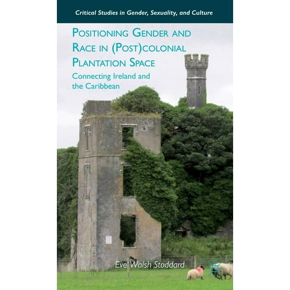 Critical Studies in Gender, Sexuality, a Positioning Gender and Race in (Post)Colonial Plantation Space: Connecting Ireland and the Caribbean, (Hardcover)