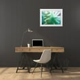 thumbnail image 3 of Franklin 24x19 White Modern Wood Framed Museum Art Print Titled - Floral Shadow, 3 of 4