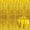 Gold, variant on 3 Pack Black Foil Fringe Curtain 3.28×6.6Ft Shiny Metallic Streamer Backdrop, Holiday Party Photo Booth Decor