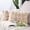 Light Beige, variant on Pack of 2 Thick Plush Wool Throw Pillow Covers 18x18 Inch Beige Soft Decorative Cushion Cover for Sofa Bedroom Pillow Shell