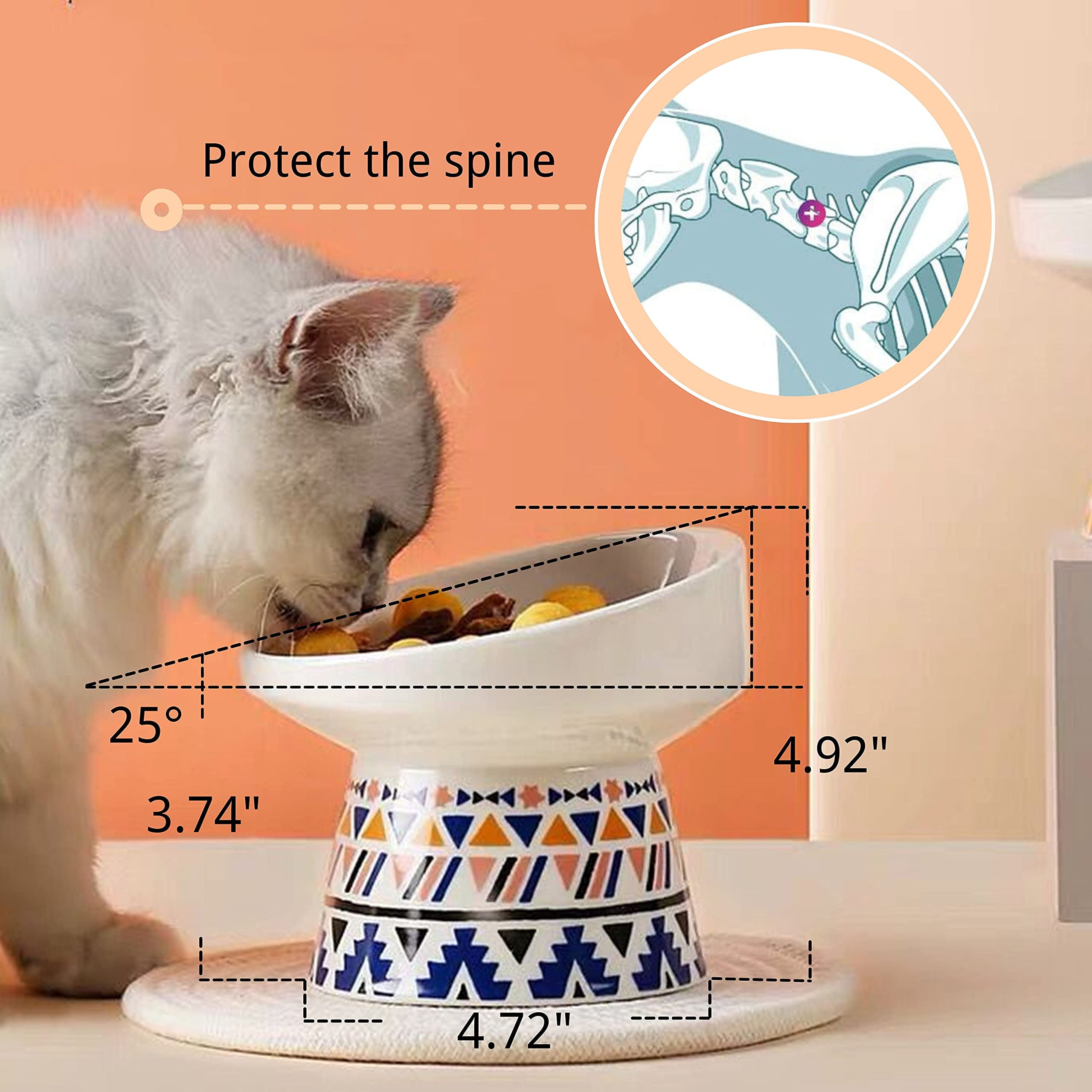 Cat bowl for messy eater hot sale