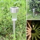 thumbnail image 1 of Bearachild 8 Uds. De luz Solar para jardín, farol de energía Solar para exteriores, iluminación de decoración de paisaje impermeable para camino, patio, Iluminación y accesorios No.03 Bearachild HA006256-03B, 1 of 6