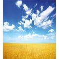 thumbnail image 3 of Ambesonne Farmhouse Duvet Cover Sets, Wheat Field Summer, 2-King, Earth Yellow Blue White, 3 of 3