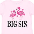 thumbnail image 4 of Inktastic Sister Announcement Flamingo Sister Girls Toddler T-Shirt, 4 of 5
