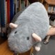 thumbnail image 4 of Lindo Realista Ratón Grande, 4 of 5