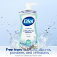 thumbnail image 4 of LMHF Antibacterial Foaming Hand Wash, Coconut Water, 7.5 Fl Oz, 4 of 5