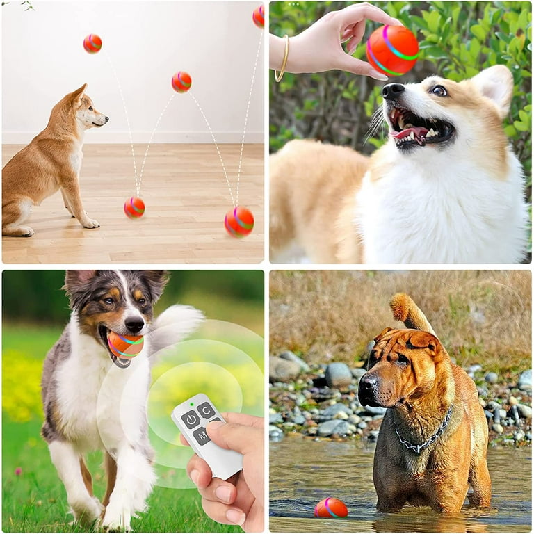 New Upgrade Interactive Dog Ball Toy, Auto Active Rolling Ball for Dogs,  Rechargeable Self Rolling Ball Dog Toy with 2 Modes, Motion Activated  Remote