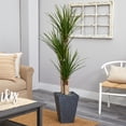 thumbnail image 2 of Nearly Natural 5.5 ft. Triple Stalk Yucca Artificial Plant in Slate Planter, 2 of 4